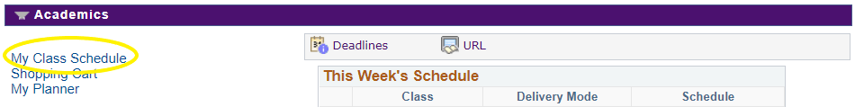 My Class Schedule