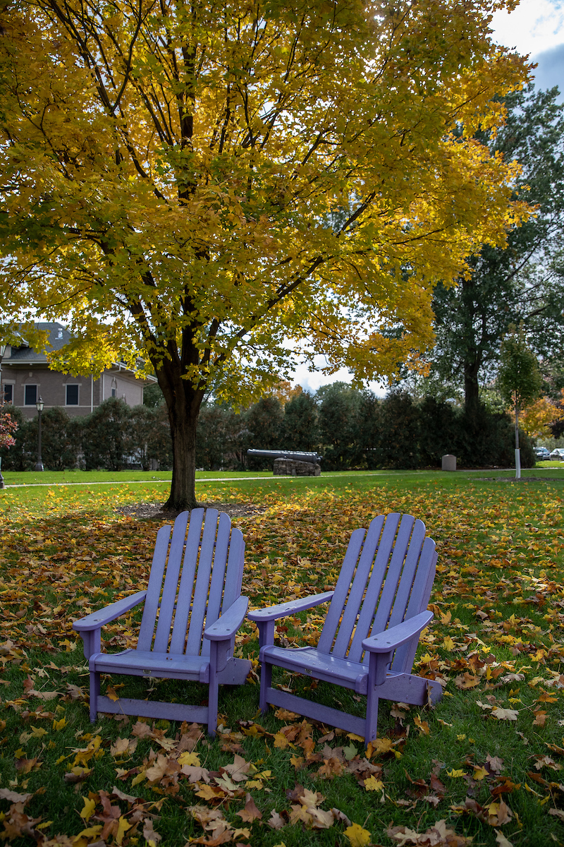 Outdoor campus purple chairs